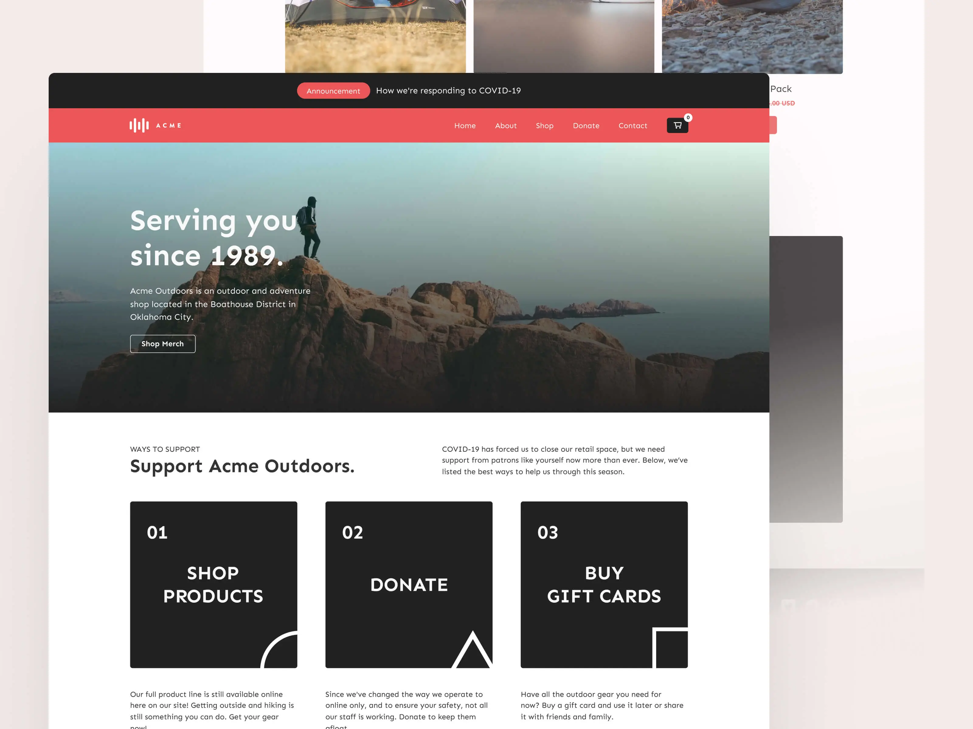 Biznus Website Template
